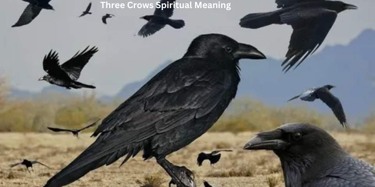 Three Crows Spiritual Meaning