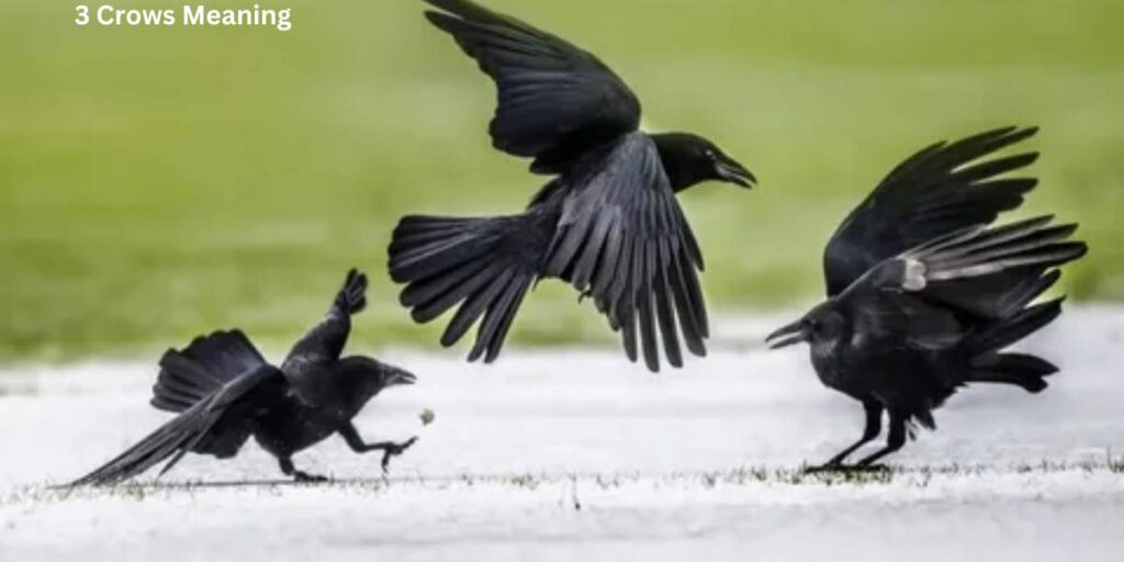 Three Crows Spiritual Meaning